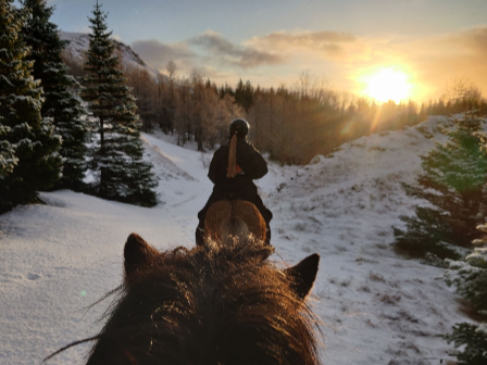 Ride, Hot Springs, Whales!
